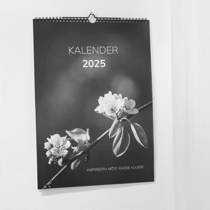 Kalender 2025